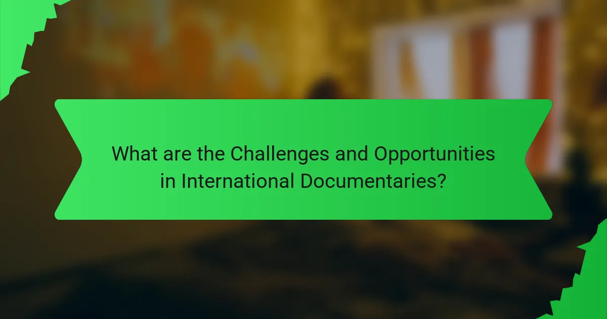 What are the Challenges and Opportunities in International Documentaries?