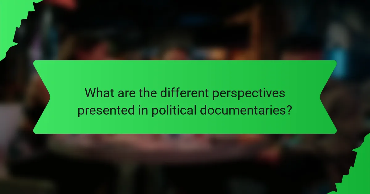 What are the different perspectives presented in political documentaries?