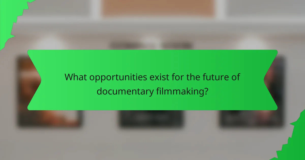 What opportunities exist for the future of documentary filmmaking?